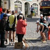 Mittelbayerische Landkreislauf 2010