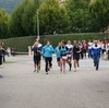 Mittelbayerische Landkreislauf 2013