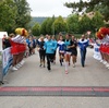 Mittelbayerische Landkreislauf 2013